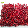 Wholesale distribute supplier IQF Frozen lingonberry